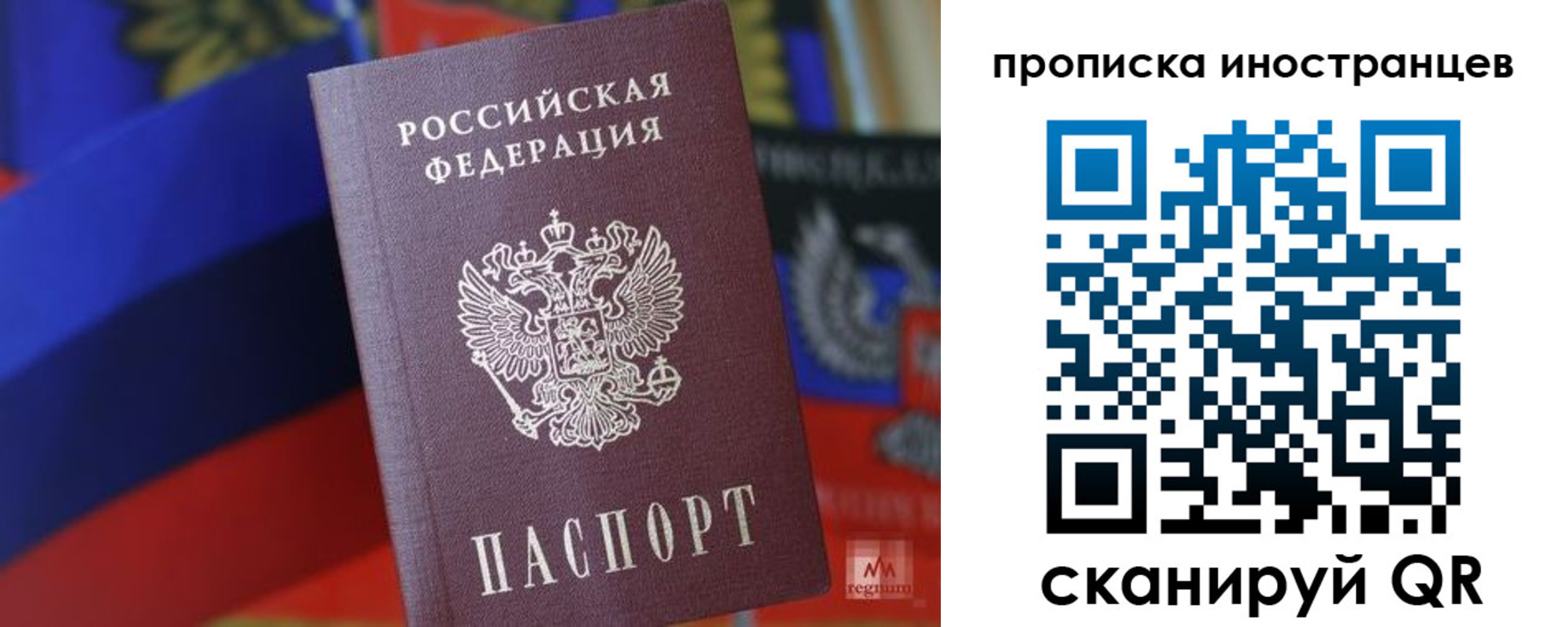прописка законно в Курске